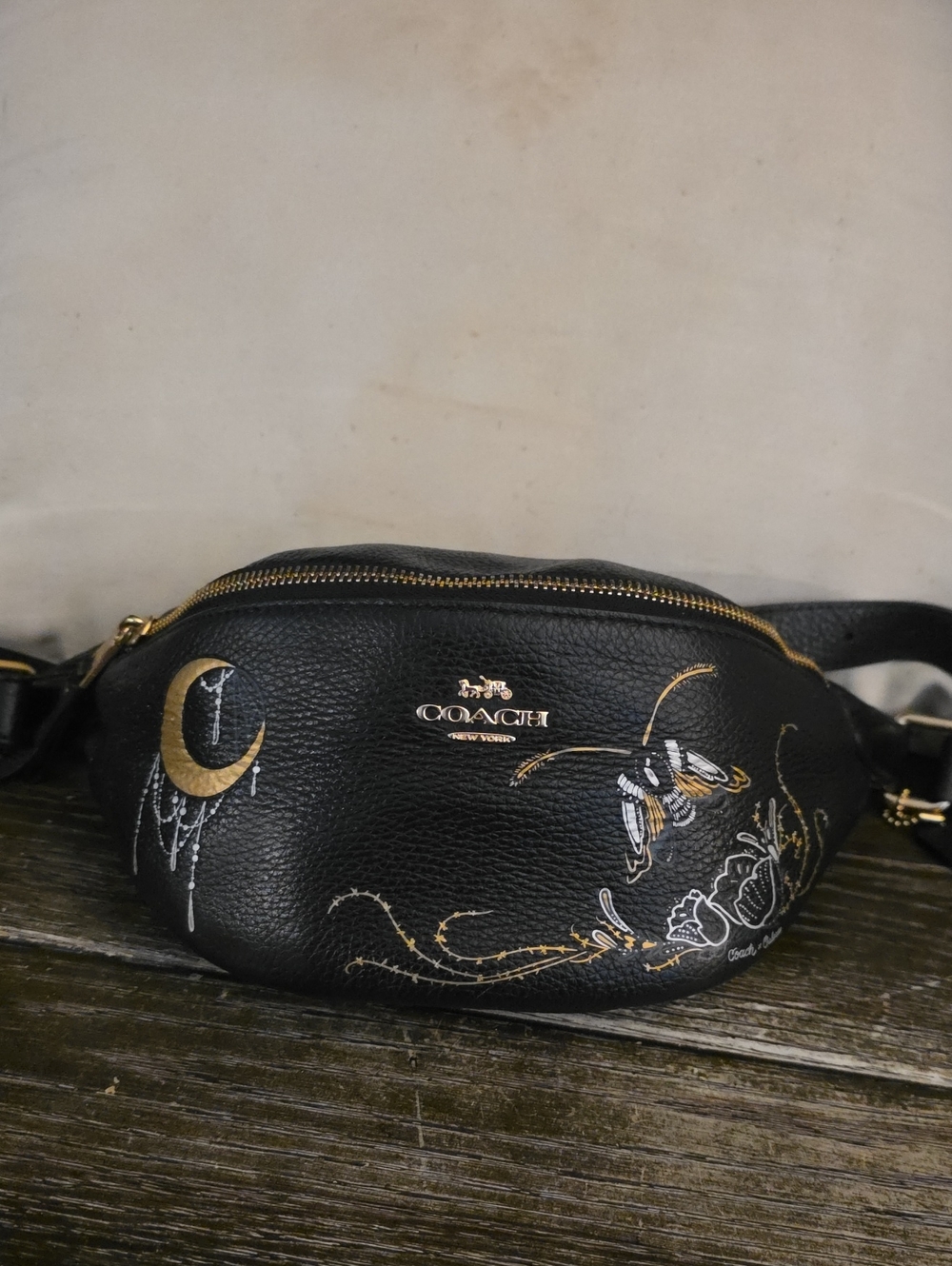 Coach Chelsea CHAMPLAIN X Animation Belt Bag - Tattoo Designs.